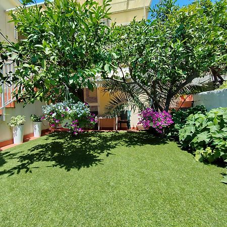 Apartments Gareta Gradac  Zewnętrze zdjęcie