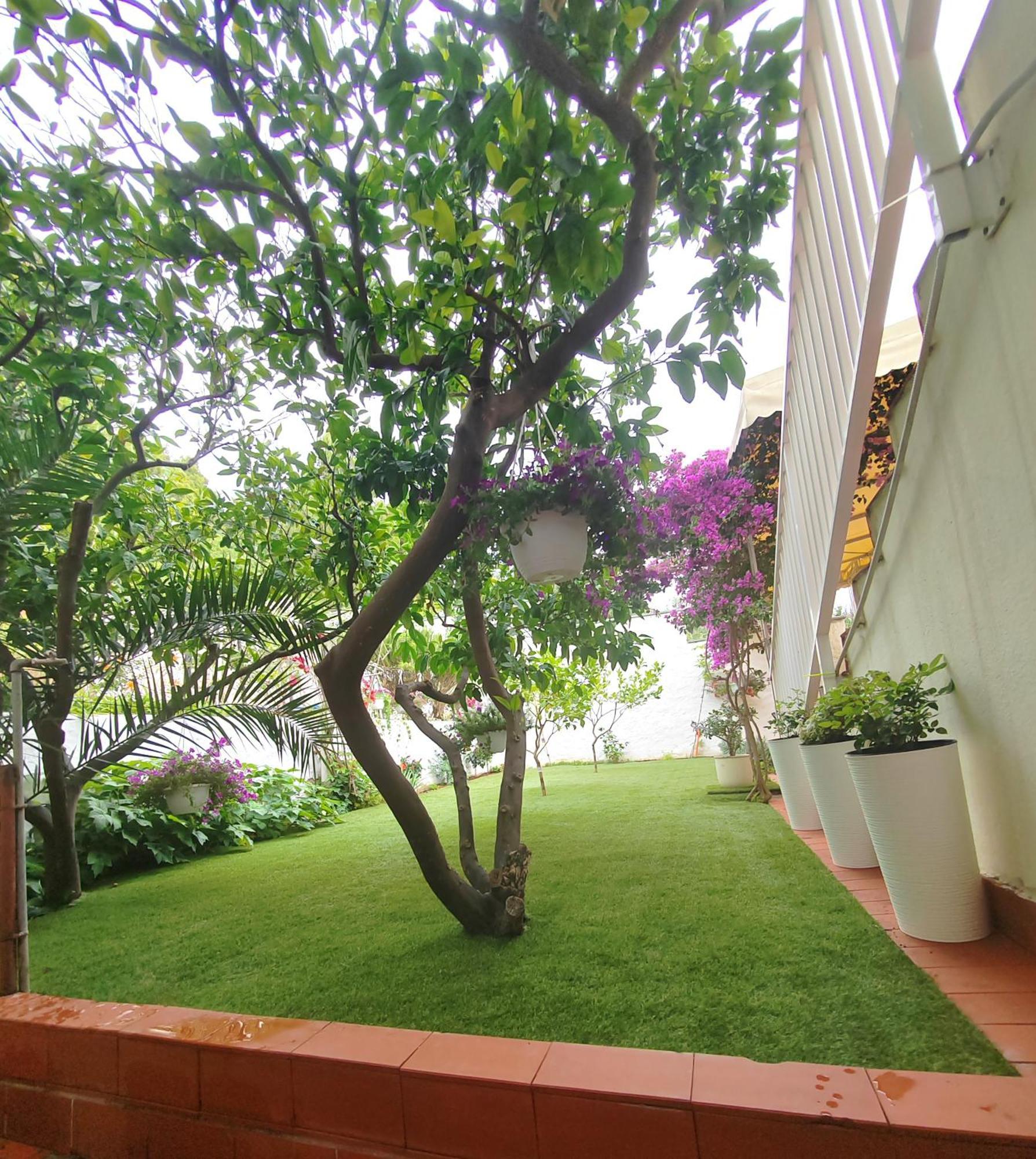 Apartments Gareta Gradac  Zewnętrze zdjęcie