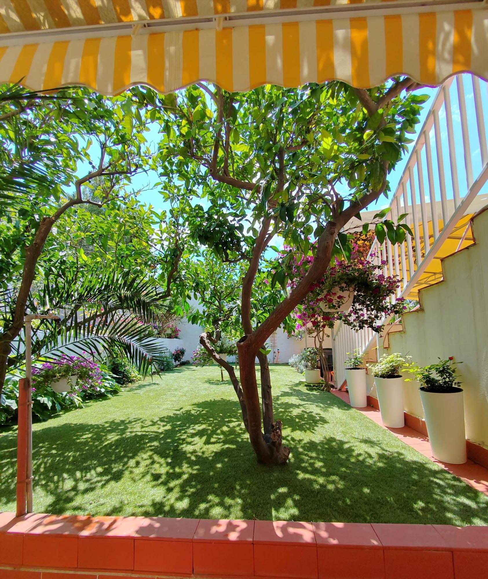 Apartments Gareta Gradac  Zewnętrze zdjęcie